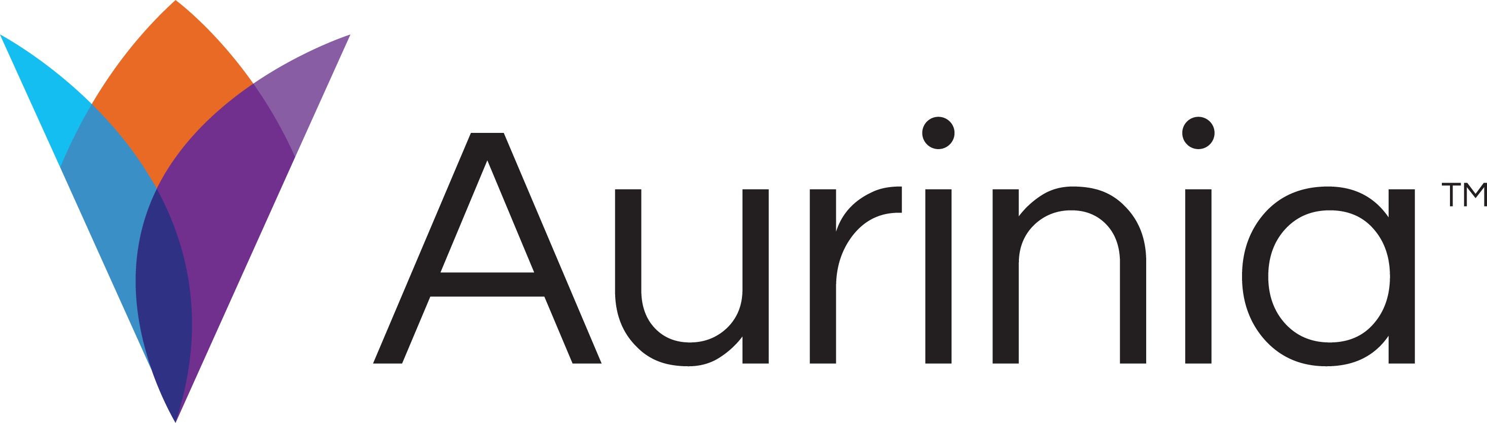 a2002aurinialogoa01.jpg