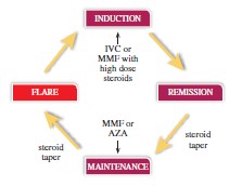 imagemktgchart.jpg